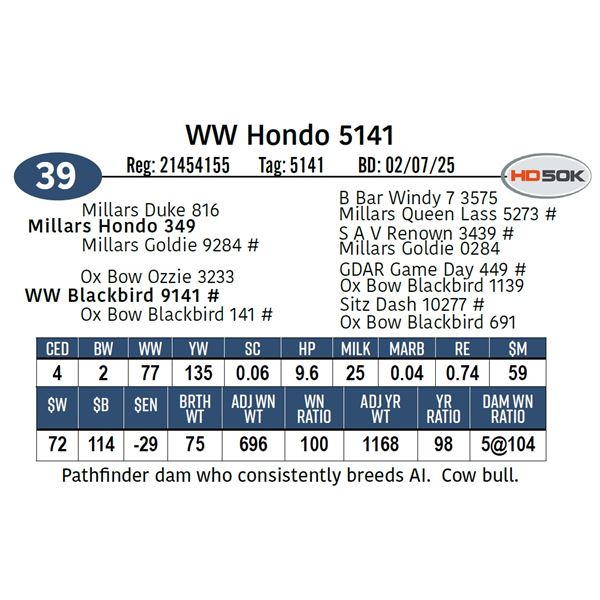 WW Hondo 5141