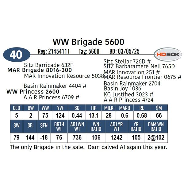WW Brigade 5600