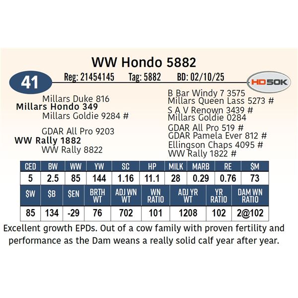 WW Hondo 5882