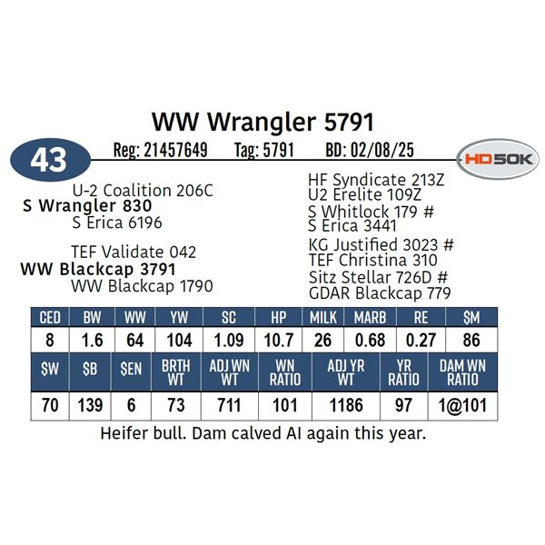 WW Wrangler 5791