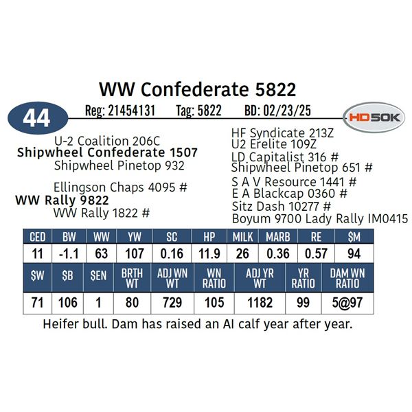 WW Confederate 5822