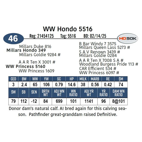 WW Hondo 5516