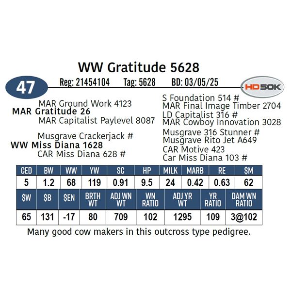 WW Gratitude 5628