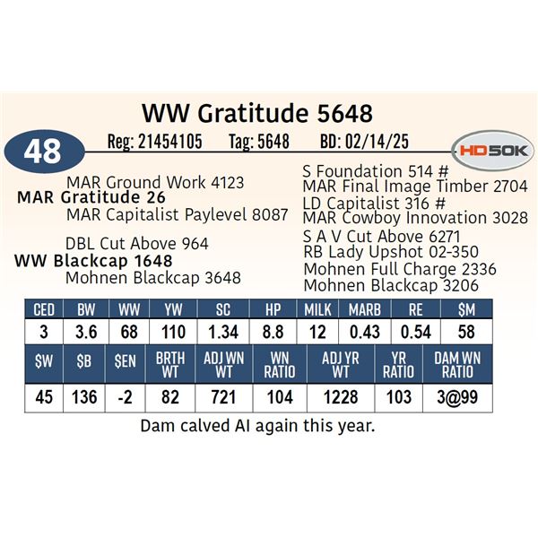 WW Gratitude 5648