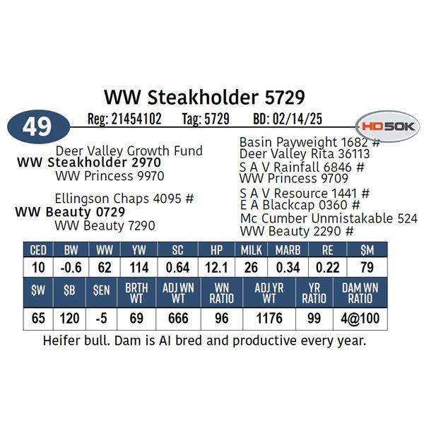 WW Steakholder 5729