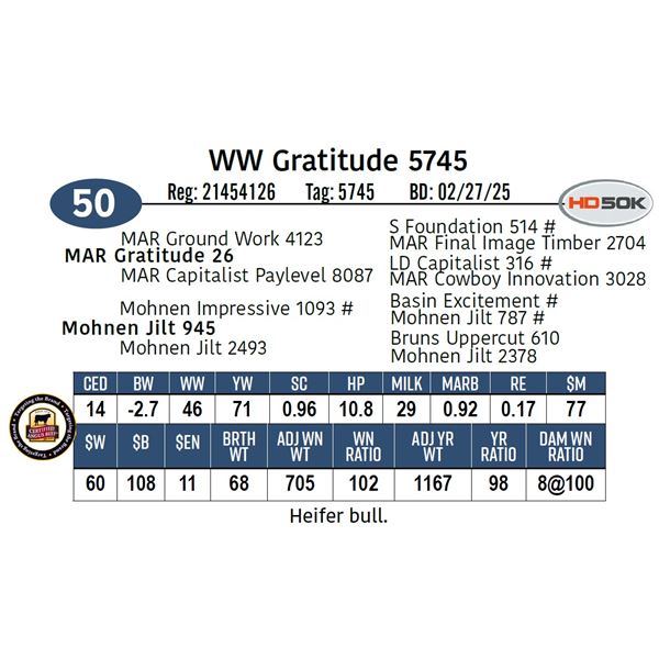 WW Gratitude 5745