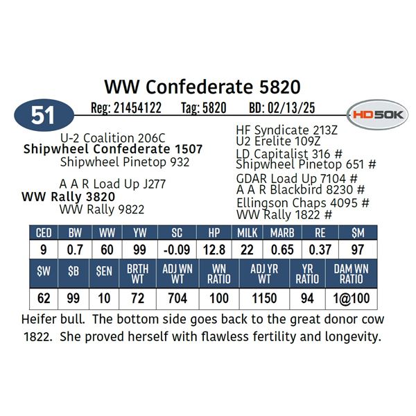 WW Confederate 5820