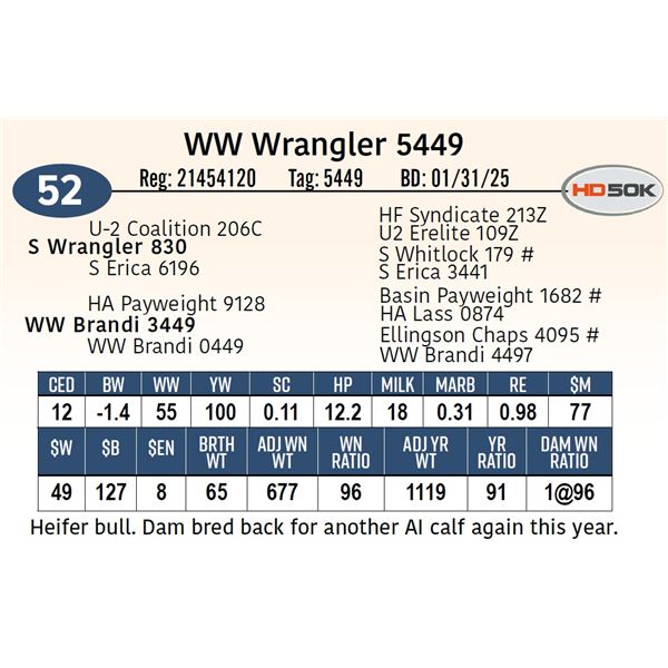 WW Wrangler 5449