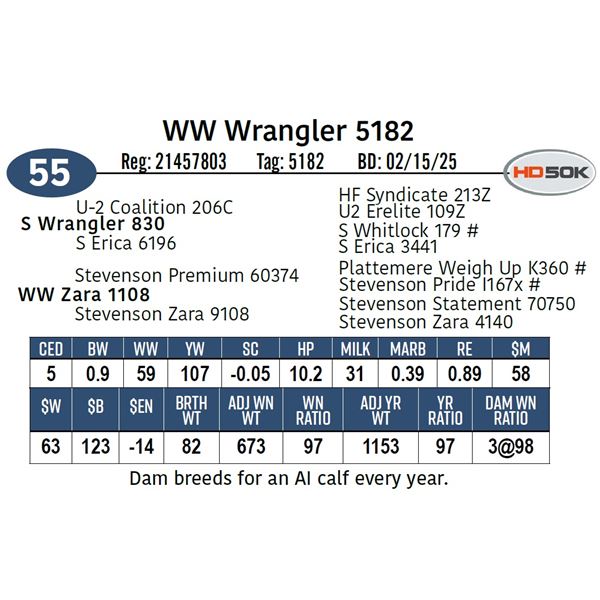 WW Wrangler 5182