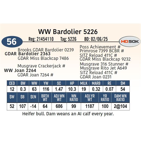 WW Bardolier 5226