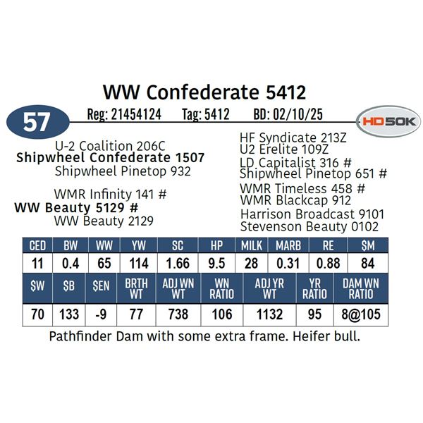 WW Confederate 5412
