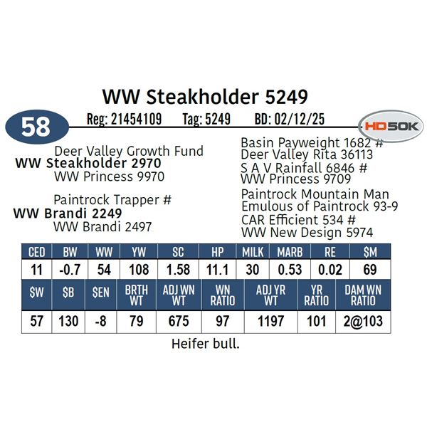 WW Steakholder 5249