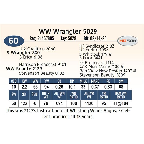WW Wrangler 5029