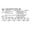 Image 1 : GM Effective 301