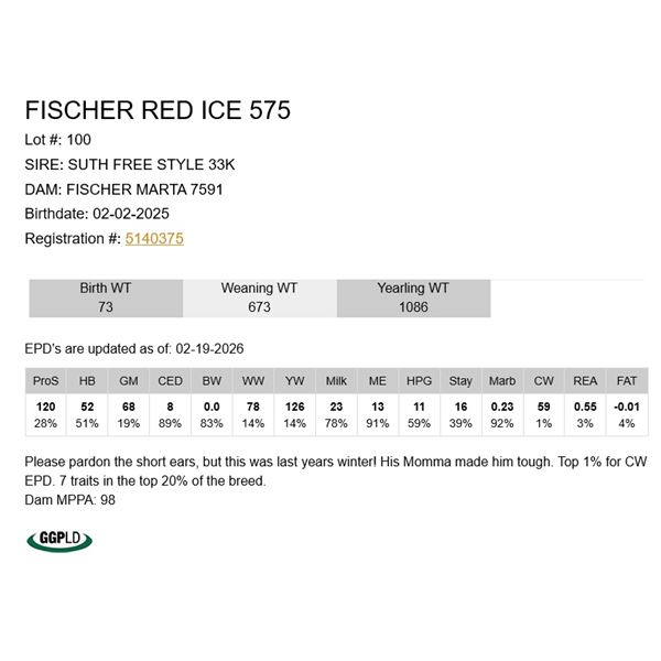 Fischer Red Ice 575