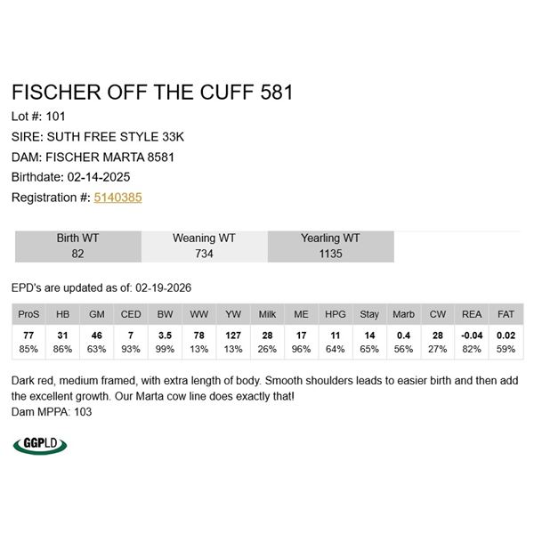 Fischer Off The Cuff 581