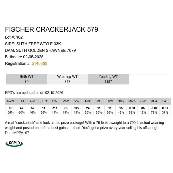 Fischer Crackerjack 579