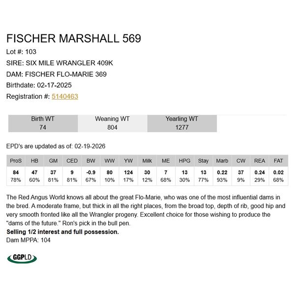 Fischer Marshall 569