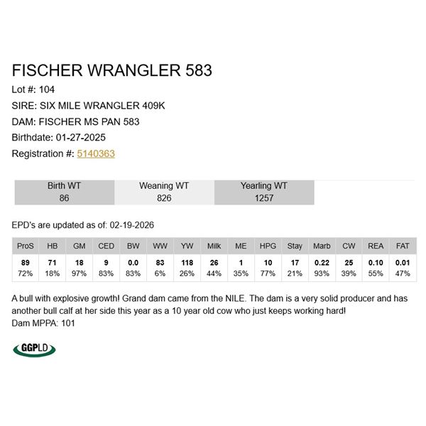 Fischer Wrangler 583