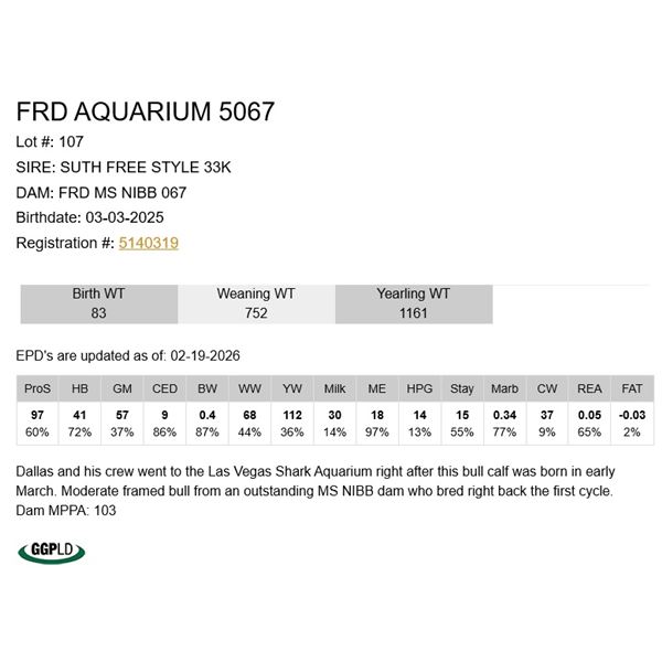 FRD Aquarium 5067