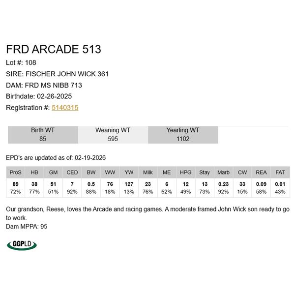FRD Arcade 513
