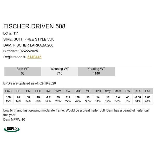 Fischer Driven 508