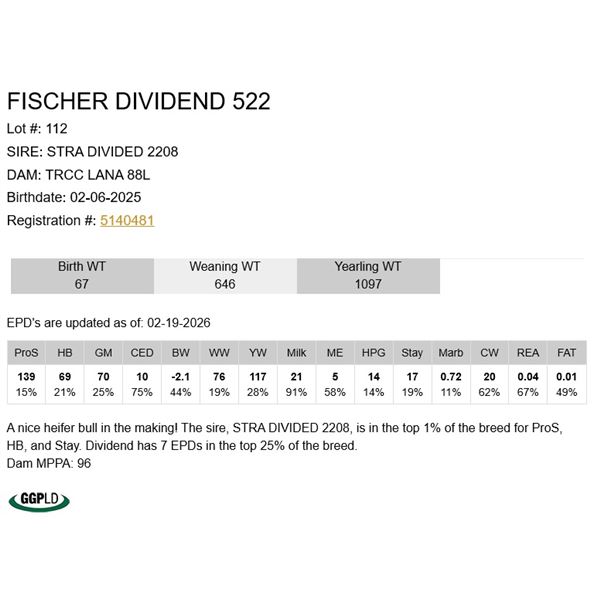 Fischer Dividend 522