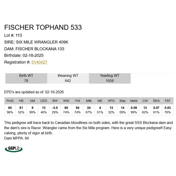 Fischer Tophand 533