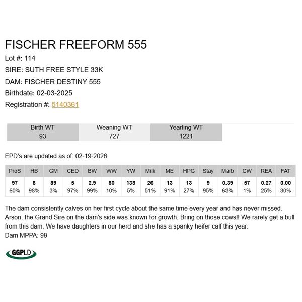 Fischer Freeform 555