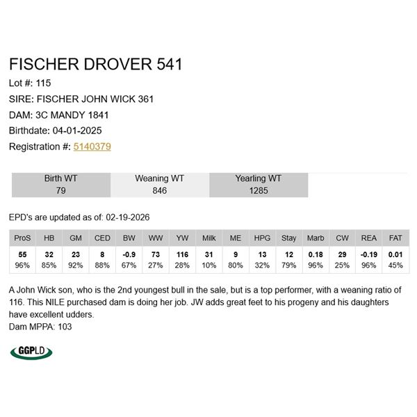 Fischer Drover 541
