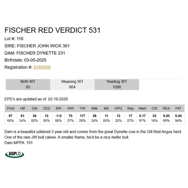 Fischer Red Verdict 531