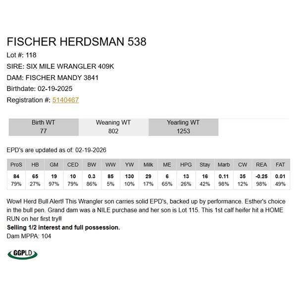 Fischer Herdsman 538
