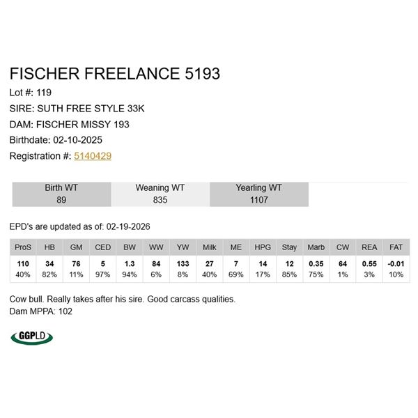 Fischer Freelance 5193