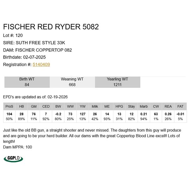 Fischer Red Ryder 5082