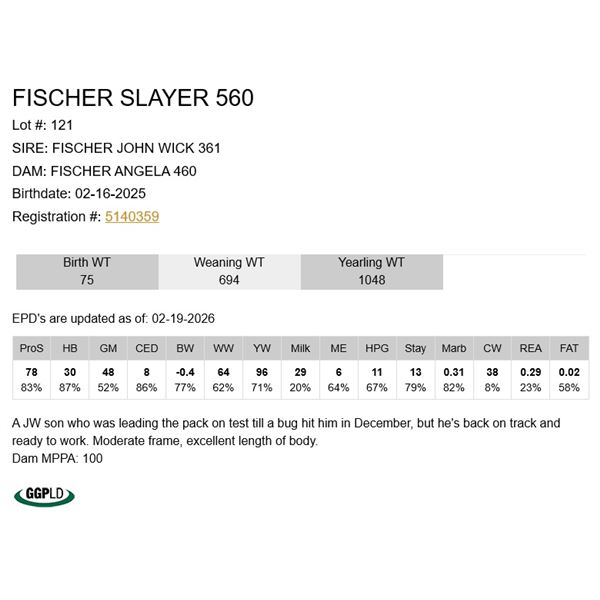 Fischer Slayer 560
