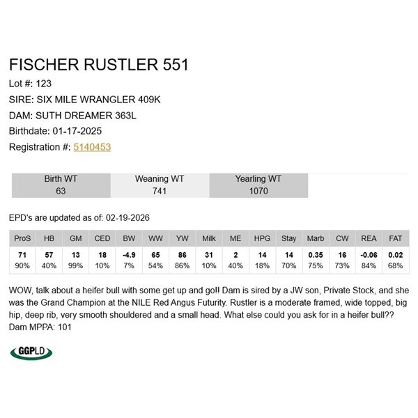Fischer Rustler 551