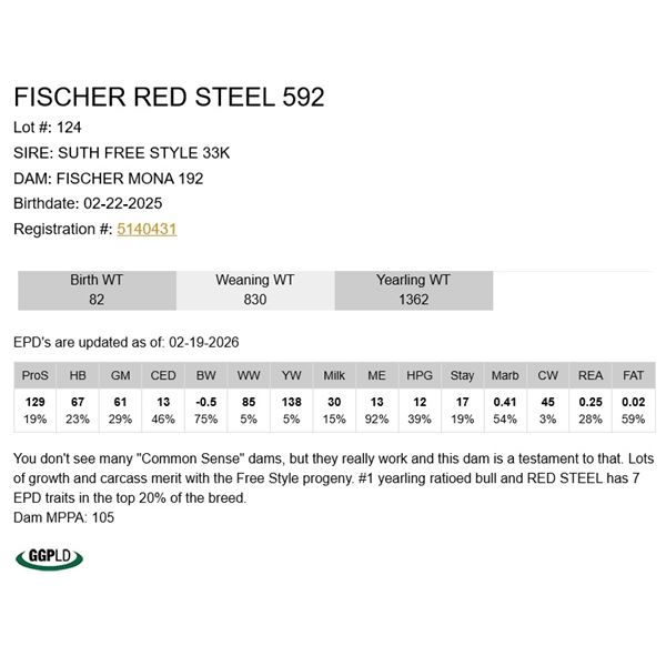 Fischer Red Steel 592