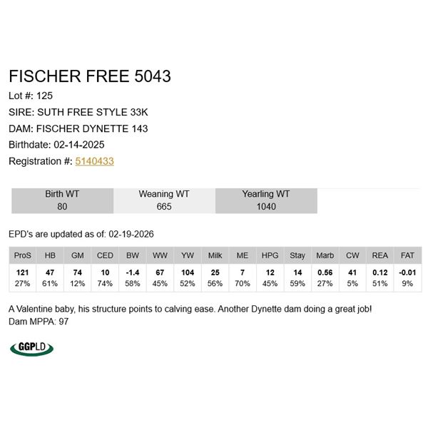 Fischer Free 5043