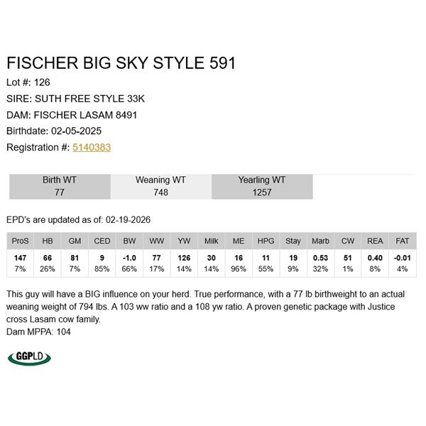 Fischer Big Sky Style 591