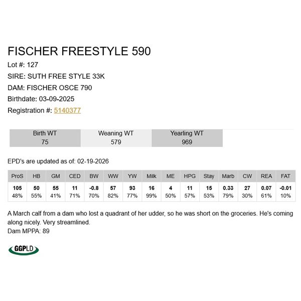 Fischer Freestyle 590