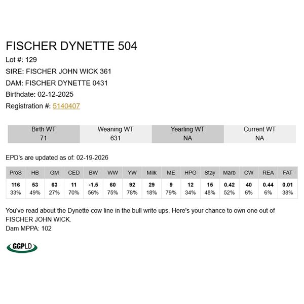 Fischer Dynette 504