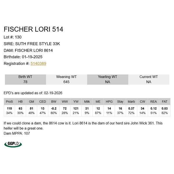 Fischer Lori 514
