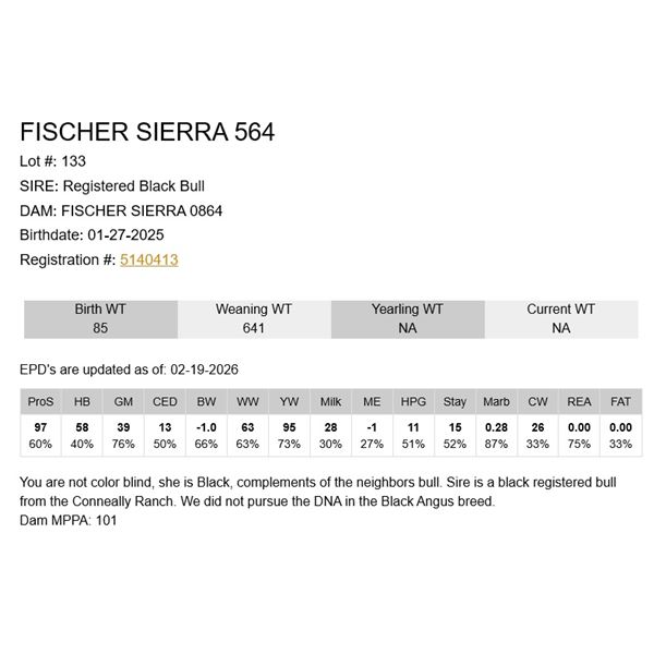 Fischer Sierra 564