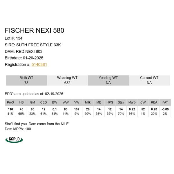Fischer Nexi 580