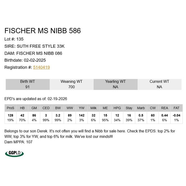 Fischer Ms Nibb 586