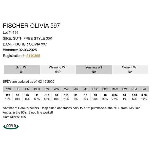 Fischer Olivia 597