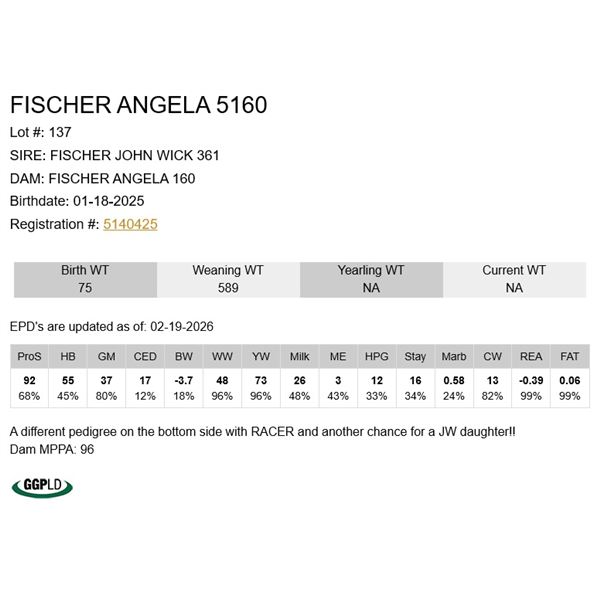 Fischer Angela 5160