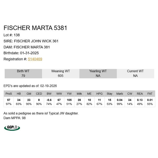 Fischer Marta 5381