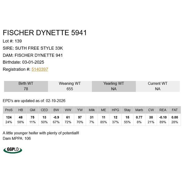 Fischer Dynette 5941