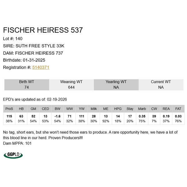 Fischer Heiress 537